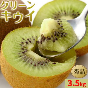 yӂ邳Ɣ[Łzy2{z O[ LEC Gi 27~33 3.5kg i Y QLEC t[c ʕ   Yn ʌ lC  Q Rs  