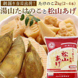 【ふるさと納税】 【先行予約】★2026年3月下旬から発送予定★ 朝掘り！湯山たけのこ＆松山あげのセット