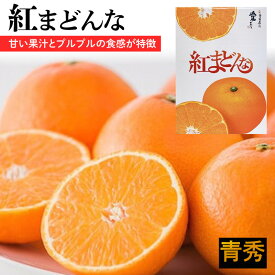 【ふるさと納税】 紅まどんな【JAえひめ中央】 青秀　L〜2Lサイズ（ みかん 柑橘 フルーツ まどんな みかん 愛媛 みかん 紅まどんな 蜜柑 みかん フジ・アグリフーズ ）