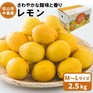 yӂ邳Ɣ[Łz y11{甭z Y  M`LTCY@2.5kg | s\ Q  k ʕ  t[c  O Ԍ ʌ lC  Q 