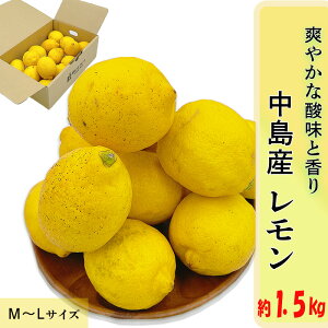 yӂ邳Ɣ[Łzy11{蔭zY  M  L TCY 1.5kg | is\ EG  Y k W T[ s[  Q R jtWEAOt[Y