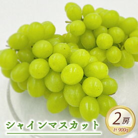 【ふるさと納税】 【先行予約】★8月下旬から発送★ 松山市産 シャインマスカット 2房（計900g） ぶどう 葡萄 フルーツ 果物 産地直送 松山市産 フジ・アグリフーズ 期間限定 先行予約 くだもの ブドウ 大粒 おすすめ 人気 旬