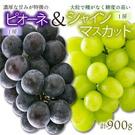 【ふるさと納税】 【先行予約】★8月下旬から発送★ 松山市産 シャインマスカット 1房 ピオーネ 1房のセット 計900g ぶどう 葡萄 フルーツ 果物 産地直送 期間限定 先行予約 くだもの ぶどう 葡萄 ブドウ 大粒 おすすめ 人気 旬 フルーツ