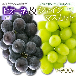 �y�ӂ邳�Ɣ[�Łz �y��s�\��z��8�����{���甭���� ���R�s�Y �V���C���}�X�J�b�g 1�[ �s�I�[�l 1�[�̃Z�b�g �v900g �Ԃǂ� ���� �t���[�c �ʕ� �Y�n���� ���Ԍ��� ��s�\�� �������� �Ԃǂ� 