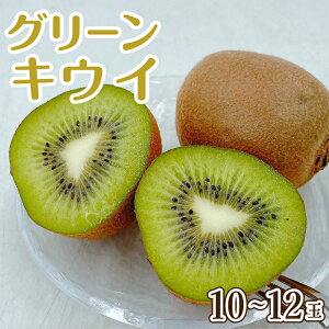 yӂ邳Ɣ[Łz y2026N2{珇zO[LEC 10`12ʓ i Y QLEC t[c ʕ   Yn ʌ lC  Q Rs 