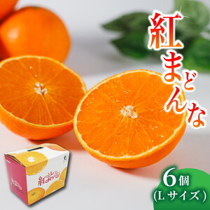 【ふるさと納税】 紅まどんな L サイズ 6 個 | 紅まどんな 柑橘 フルーツ まどんな みかん 愛媛 みかん 紅マドンナ 蜜柑 紅まどんな 愛媛県 松山市