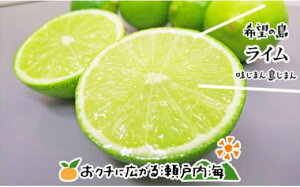 yӂ邳Ɣ[Łz y10{甭z]̓ YC 1kg ʁ` | k C C k  C k C C QY C k C C