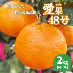 yӂ邳Ɣ[Łz y2026N3{甭\z  48 2kg ƒp Ԍ QY ݂  IW k ʕ t[c ƒp  Q Rs