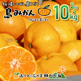 【ふるさと納税】 温州みかん 2kg / 3kg / 5kg / 10kg 家庭用 愛媛 中島産 希望の島 ミカン みかん mikan 柑橘 果物 フルーツ 甘味 酸味 瀬戸内海の恵み 産地直送 国産 ギフト 贈答 新鮮 ふるさと納税みかん 愛媛県 松山市 送料無料