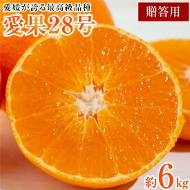 【ふるさと納税】 【先行予約】【2025年12月上旬から順次発送】最高級品種【愛果28号】贈答用-化粧箱-　6kg(20-30個前後） | 愛果28号 まどんな 柑橘 みかん 果物 くだもの フルーツ おすすめ 高級 人気 お取り寄せ グルメ ギフト 期間限定 数量限定 ご当地 愛媛県 松山市