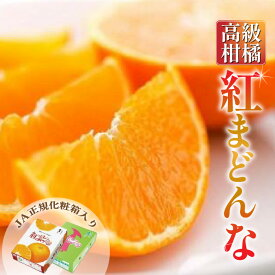 【ふるさと納税】 【2025年11月中旬から発送】 紅まどんな ＜JA正規化粧箱入り＞ 約3kg 愛媛 みかん 蜜柑 mikan 柑橘 高級柑橘 高級フルーツ 高級果物 果物 くだもの フルーツ お取り寄せ グルメ ギフト 期間限定 数量限定 人気 おすすめ 愛媛県 松山市