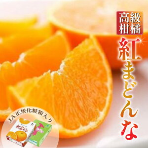 yӂ邳Ɣ[Łz y 2025N11{獠 z g܂ǂ 3kg JAKϔ yGizϔ  k 28  ݂ ~J mikan t[c  ʕ  lC 