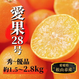 【ふるさと納税】 【2026年12月頃から順次発送】愛果28号 (紅まどんな と同品種) 約1.5kg / 約2.8kg 秀~優品 | 愛果28号 まどんな あいか 柑橘 みかん 果物 くだもの フルーツ おすすめ 高級 人気 お取り寄せ グルメ ギフト 期間限定 数量限定 ご当地 愛媛県 松山市