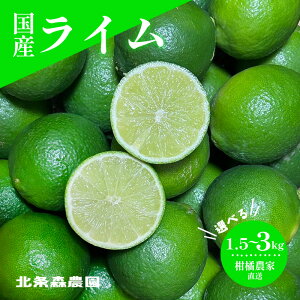 yӂ邳Ɣ[Łz ₩ʎ C 1.5kg`3kg | C ݂ k YC W[X JNe XC[c T_ Q R k ʕ t[c Yn kX_