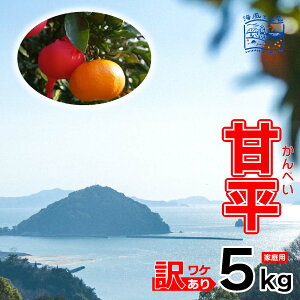 yӂ邳Ɣ[Łz y2026N1{甭\z 󂠂 Õ ƒp 5kgbYn Y k Ԍ ʌ n Q Rs