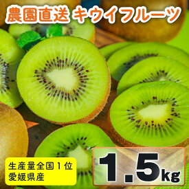 【ふるさと納税】 家庭用 キウイフルーツ ヘイワード 約1.5kg 愛媛県産 【1月中旬頃~2月下旬頃発送予定】| 【先行予約】 キウイフルーツ ヘイワード 農園直送 家庭用 フルーツ キウイ 果物 グリーンキウイ MCF 愛媛県 松山市 おすすめ 人気 MCF