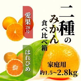 【ふるさと納税】 【2026年12月頃から順次発送】 二種のみかん食べ比べ箱 約1.5kg / 約2.8kg 【愛果28号・はれひめ】家庭用 | 食べくらべ 愛媛 みかん 詰め合わせ 蜜柑 柑橘 果物 くだもの フルーツ お取り寄せ グルメ 期間限定 数量限定 人気 おすすめ 愛媛県 松山市