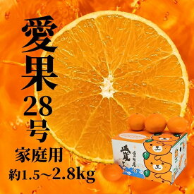 【ふるさと納税】 【2026年12月頃から順次発送】 愛果28号 (紅まどんな と同品種) 約1.5kg / 約2.8kg（ご家庭用）| 愛果28号 まどんな 柑橘 みかん 紅まどんな と同一品種 果物 くだもの フルーツ 高級 人気 お取り寄せ グルメ ギフト 期間限定 数量限定 愛媛県 松山市
