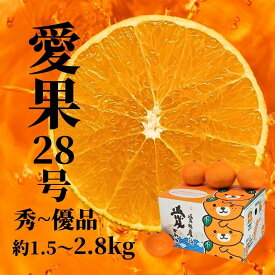 【ふるさと納税】 【2026年12月頃から順次発送】愛果28号 (紅まどんな と同品種) 約1.5kg / 約2.8kg 秀~優品 | 愛果28号 まどんな あいか 柑橘 みかん 果物 くだもの フルーツ おすすめ 高級 人気 お取り寄せ グルメ ギフト 期間限定 数量限定 ご当地 愛媛県 松山市