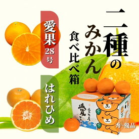 【ふるさと納税】 【2026年12月より順次発送】二種のみかん食べ比べ箱 約1.5kg / 約2.8kg 【愛果28号・はれひめ】秀~優品 | 食べくらべ 愛媛 みかん 詰め合わせ 先行予約 蜜柑 柑橘 果物 くだもの フルーツ お取り寄せ グルメ 期間限定 数量限定 人気 おすすめ 愛媛県 松山市
