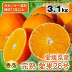  【来年度先行予約品】完熟 愛果 28号 秀品 3.1kg (10～13個) 光センサー選別 糖度11度以上 【2024年12月上旬～2025年1月発送】 柑橘 果物 フルーツ あいか 愛果 みかん まどんな 松山市 愛媛県