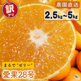 【ふるさと納税】 【先行予約】 愛果28号 (紅まどんな と同品種) 訳あり 家庭用 2.5kg / 5kg 光センサー選別 【2026年11月下旬頃から順次発送】 | 訳あり 不揃い 柑橘 果物 フルーツ あいか みかん 松山市 愛媛県 MOTTAINAI COCOLOFARM MCF