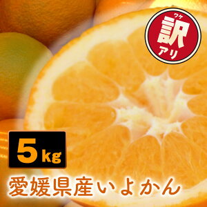 yӂ邳Ɣ[Łz ys\z󂠂 QY {悩 5kg | y1{`2{z {ɗ\ 悩  ɗ\ 킯 ƒp k ݂ ~J t[c ʕ Â _