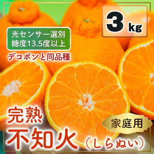 yӂ邳Ɣ[Łzys\z ƒp sm΁iʂj3kg ZT[I x13.5xȏ y2026N2`3z ~J fR|Ɠi ݂ sm ƒp Q Rs