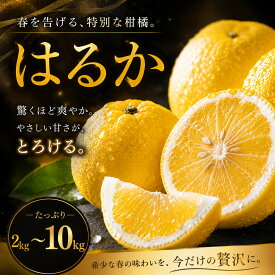 【ふるさと納税】 【選ぶならこれ】 酸味ほぼなし 【はるか】 2kg/3kg/5kg/10kg 愛媛県産 【2027年2月上旬頃から順次発送】 | みかん ミカン mikan 蜜柑 訳ありフルーツ 柑橘 果物 おすすめ お勧め お取り寄せ ギフト 愛媛県 松山市
