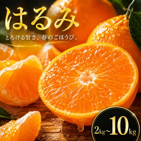 【ふるさと納税】 【選ぶならこれ】 ぷちぷち食感 【はるみ】 2kg/3kg/5kg/10kg 愛媛県産 【2027年2月中旬頃から順次発送】 | みかん ミカン mikan 蜜柑 訳ありフルーツ 柑橘 果物 おすすめ お勧め お取り寄せ ギフト 愛媛県 松山市