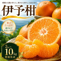 楽天市場】いよかん 3kgの通販