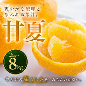 【ふるさと納税】 【安心して選べる】 甘酸っぱい爽快感 【甘夏】 2kg/4kg/8kg 愛媛県産 【2027年3月中旬頃から順次発送】 | みかん ミカン mikan 蜜柑 訳ありフルーツ 柑橘 果物 おすすめ お勧め お取り寄せ ギフト 愛媛県 松山市
