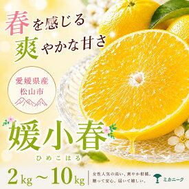 【ふるさと納税】 【知る人ぞ知る】 驚きの甘さ 【媛小春】 2kg/3kg/5kg/10kg 愛媛県産 【2027年1月下旬頃から順次発送】 | みかん ミカン mikan 蜜柑 訳ありフルーツ 柑橘 果物 おすすめ お勧め お取り寄せ ギフト 愛媛県 松山市