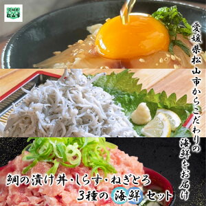yӂ邳Ɣ[Łz RCNZbg Iׂ @  ̒Ђ ߂ 炷 ˂Ƃ CN  VN Q Rs