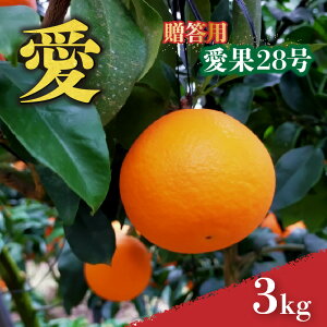 yӂ邳Ɣ[Łz Q ݂ 28 p 2kg / 3kg  ys\ 2025N12{甭z | g܂ǂ Ɠi k ݂ ܂ǂ k ݂ ʕ   lC 