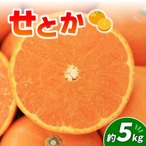 yӂ邳Ɣ[Łz Ƃ 5kg | ݂ Q R t[c ʕ  ʌ Ԍ  k ݂ t[c ʕ ݂ LO 2025Nx