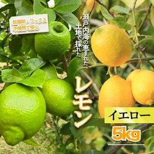 【ふるさと納税】 【先行予約】【選べる色・容量】グリーンレモン イエローレモン 1kg/2.5kg/5kg |果物 フルーツ レモン かんきつ 柑橘 グリーンレモン イエローレモン 国産 愛媛県 松山市 瀬
