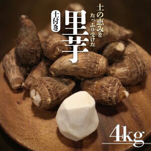 yӂ邳Ɣ[Łz  2kg / 4kg Q_V2 uh Ƃ TgC  Y QY VN @肽  Ԍ uh ϕ tC X`  lC Mtg  