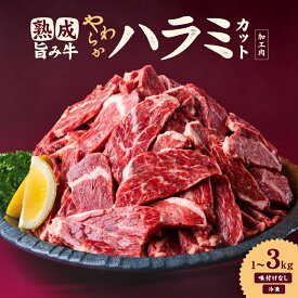【ふるさと納税】 熟成旨み牛やわらかハラミカット 1kg / 2kg / 3kg インジェクション加工 牛ハラミ はらみ 肉 小分け200g 個包装 冷凍 焼肉 焼き肉 BBQ バーベキュー ステーキ 丼物 簡単調理 味付けなし 家庭用 業務用 人気 お取り寄せ 愛媛県 松山市 送料無料