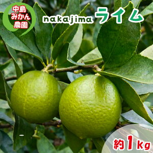 yӂ邳Ɣ[Łz yzC 1kg ݂_bk ʏ`_ ʕ  ʎ Y t[c L Q R ˓ r^~  Y  Y Y CT