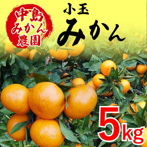 yӂ邳Ɣ[Łz y2025N12甭zY B݂  2kg / 5kg b ݂ ~J  s k ʕ t[c R Q ݂ ~J  ݂ ʖ s~J 