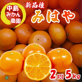 【ふるさと納税】 【2026年12月中旬頃から順次発送】みはや 家庭用 2kg または 5kg 新品種 紅いダイヤ 数量選択可 中島みかん農園｜先行予約 みかん 蜜柑 柑橘 甘い 中島 温州 数量 限定 愛媛 松山