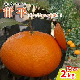 【ふるさと納税】 【2026年2月から発送予定】甘平 訳あり 2kg / 5kg 愛媛県 中島産 | カンペイ 家庭用 先行予約 高級 蜜柑 ミカン みかん 甘い 皮 むきやすい 柑橘 糖度 人気 お取り寄せ 期間 数量 限定 中島みかん農園 愛媛 松山