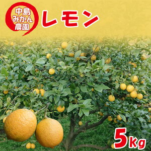yӂ邳Ɣ[Łz y2025N10甭zƒp  Iׂ e  1kg/2kg/5kgbs\ k ݂ EG ʕ  ʎ Y t[c L Q ݂͂ ˓ r^~ 