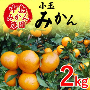 yӂ邳Ɣ[Łz y2025N12甭zY B݂  2kg / 5kg b ݂ ~J  s k ʕ t[c R Q ݂ ~J  ݂ ʖ s~J 