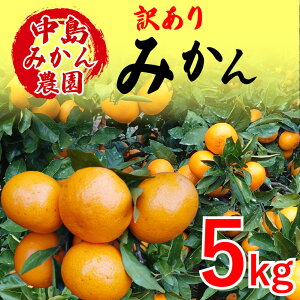 【ふるさと納税】 【2025年12月から発送】中島産 温州みかん 訳あり 2kg / 5kg | えひめ 蜜柑 みかん ミカン 蜜柑 柑橘 果物 フルーツ 松山 愛媛 みかん ミカン 蜜柑 中島みかん 温州みかん ミカ