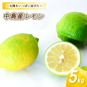 yӂ邳Ɣ[Łz y10甭z  2kg / 5kg / ( 14 -18 ) / ( 35 - 45 ) EG ʌ QY Rs 