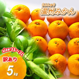 【ふるさと納税】 【2025年11月上旬から順次発送】 訳あり 温州みかん 2kg/5kg/10kg 数量選択可 | 訳アリ わけあり 家庭用 早生 わせ 南柑20号 みかん 数量限定 みかん 愛媛県産 みかん 松山市 みかん 中島 みかん 温州みかん みかん 蜜柑 温州みかん ミカン みかん 旬