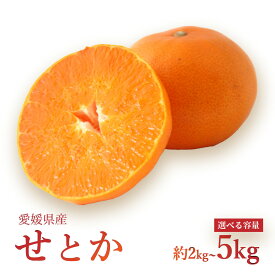 【ふるさと納税】 【2027年3月中旬より発送】愛媛県 みかん せとか 2kg/5kg | 数量選択可 せとか みかん 蜜柑 柑橘 数量限定 愛媛県産 松山市 中島 低農薬 愛媛県 松山市