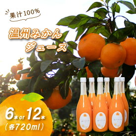【ふるさと納税】 温州みかんジュース 720ml × 6本 / 12本 果汁100% 無添加 ストレートジュース 数量選択可 | みかんジュース 果汁100% みかんジュース ストレート 100% ジュース 柑橘 果汁飲料 みかんジュース NPO法人農音 愛媛県 松山市 中島